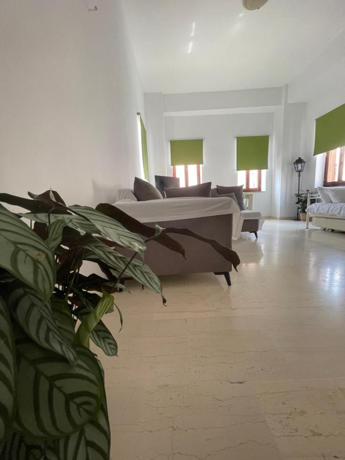 Aphaias Apartments Aegina Exteriör bild